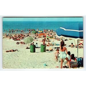 Vintage Lithograph Postcard A Day at the Beach by Free Lance Photographers